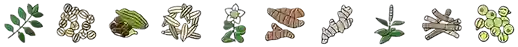 Ayurveda Element