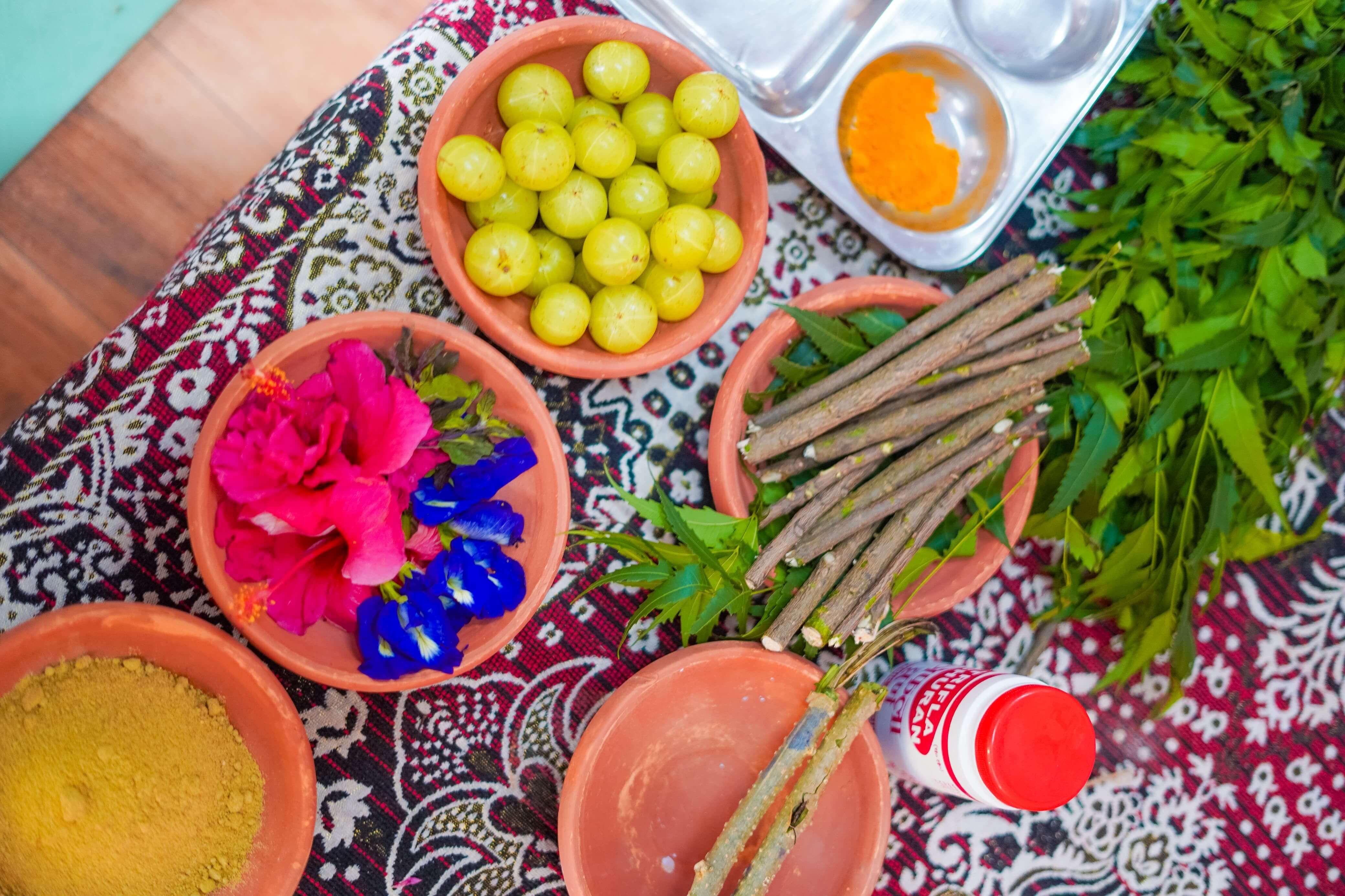 Ayurveda Healing