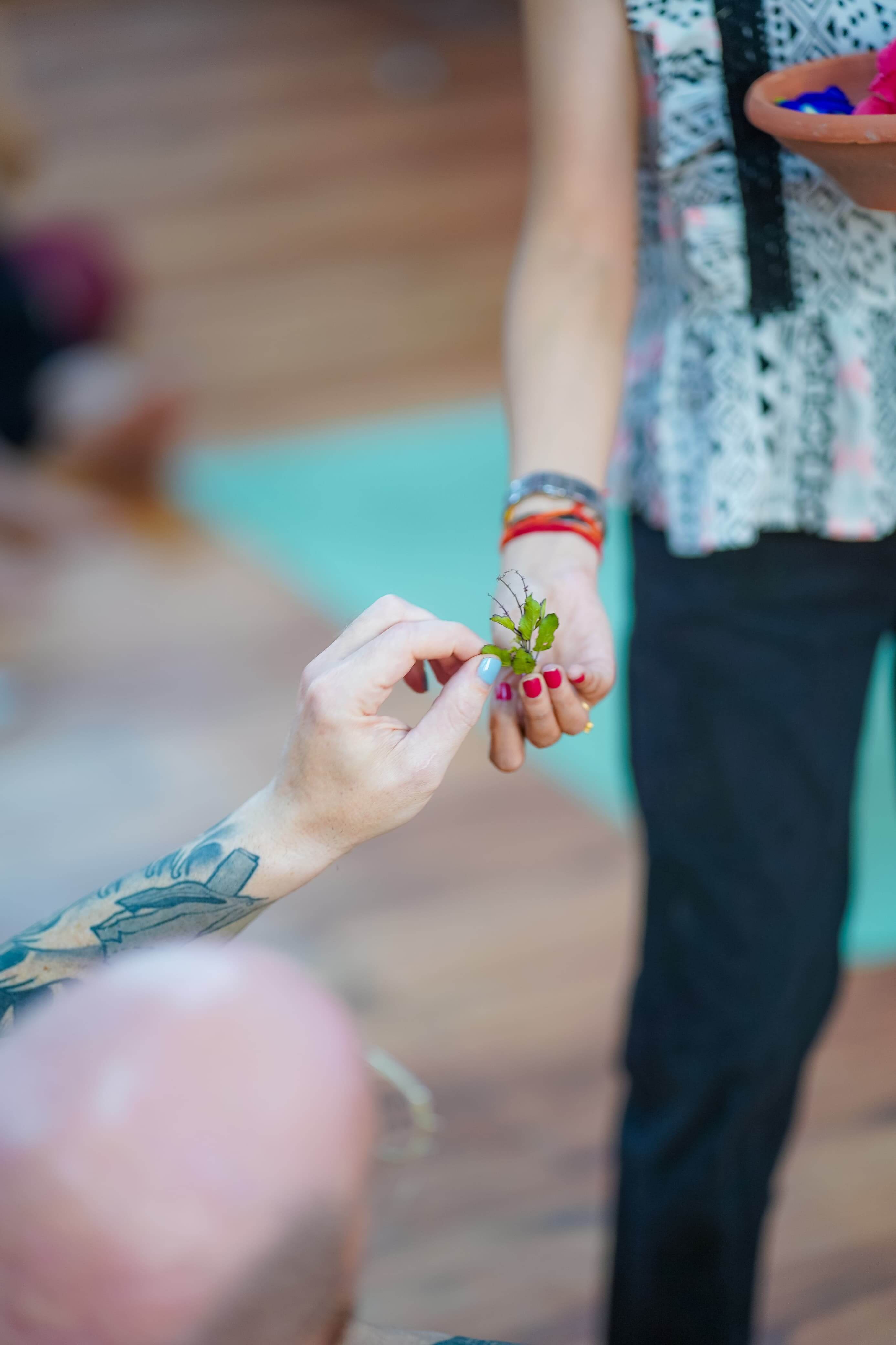 Ayurveda Herbal Therapy