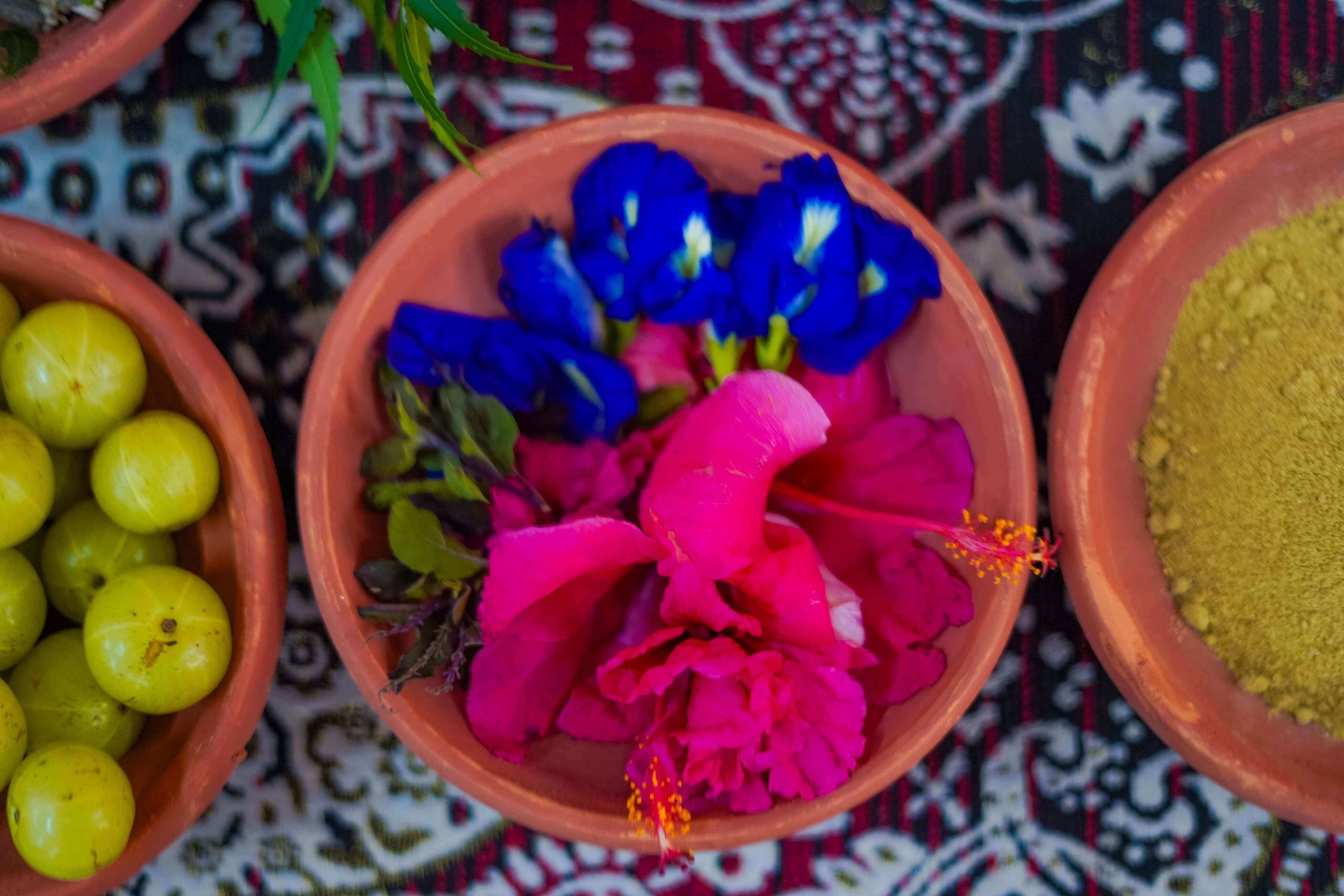 Natural Ayurveda Treatment